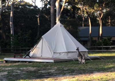 Bay and Bush Cottages: Nature Friendly Accommodation in Jervis Bay