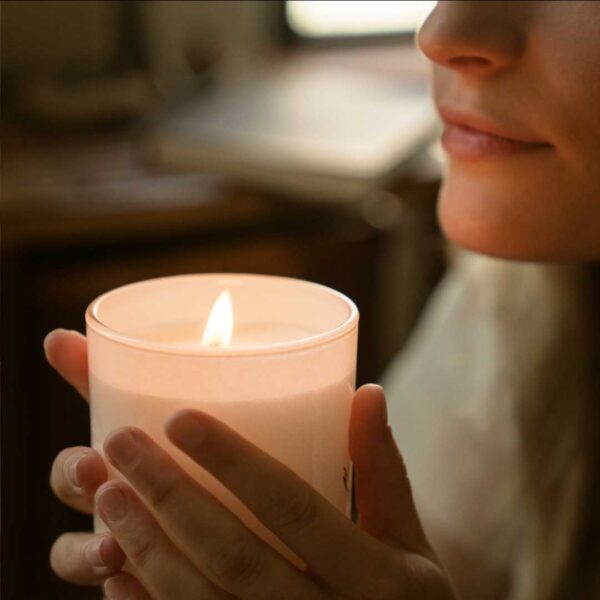 Bay and Bush: breathwork and meditation in candlelight