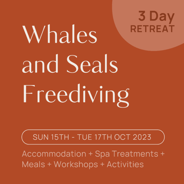 Bay and Bush: freediving with whales and seals on three day retreat