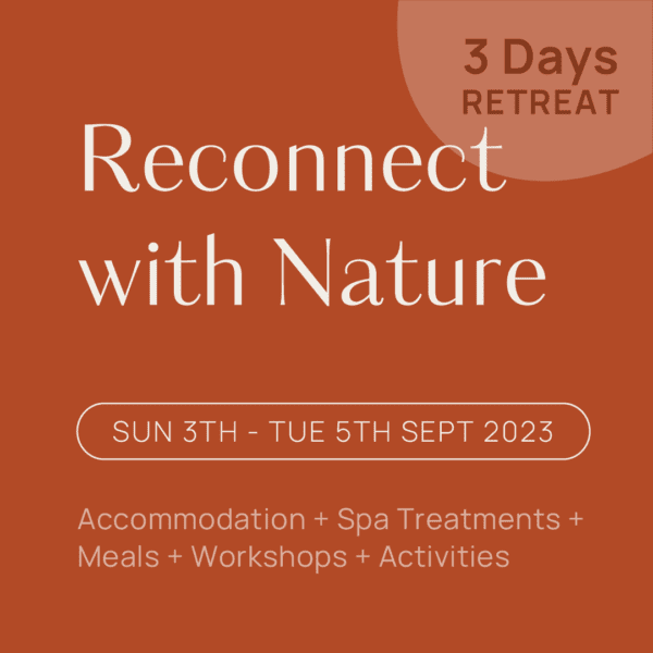 Bay and Bush: reconnect with nature on three day retreat