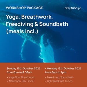 workshop package freediving whales seals jervis bay huskisson wellness retreat nsw