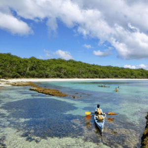 Bay and Bush: sea kayak in jervis bay with tea on the beach
